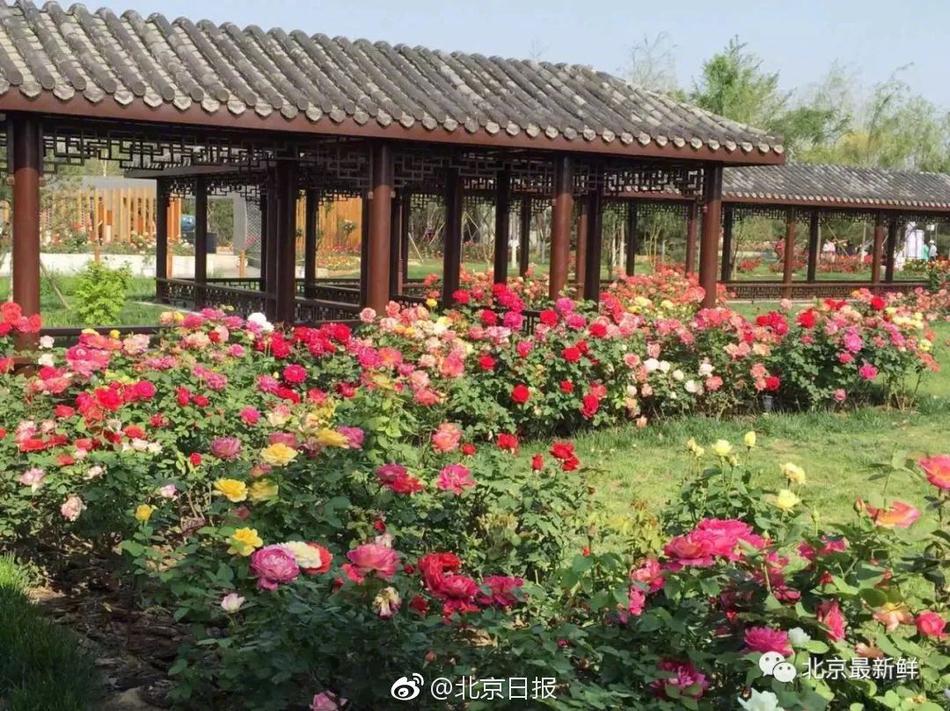 域名店铺如何卖域名