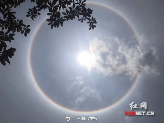 伊布引争议!这庆祝是否过分?对手不接受他道歉