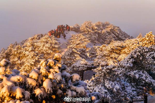 她是泰国的“人间尤物”, 身材堪称炸裂式发育, 被称为泰国林志玲