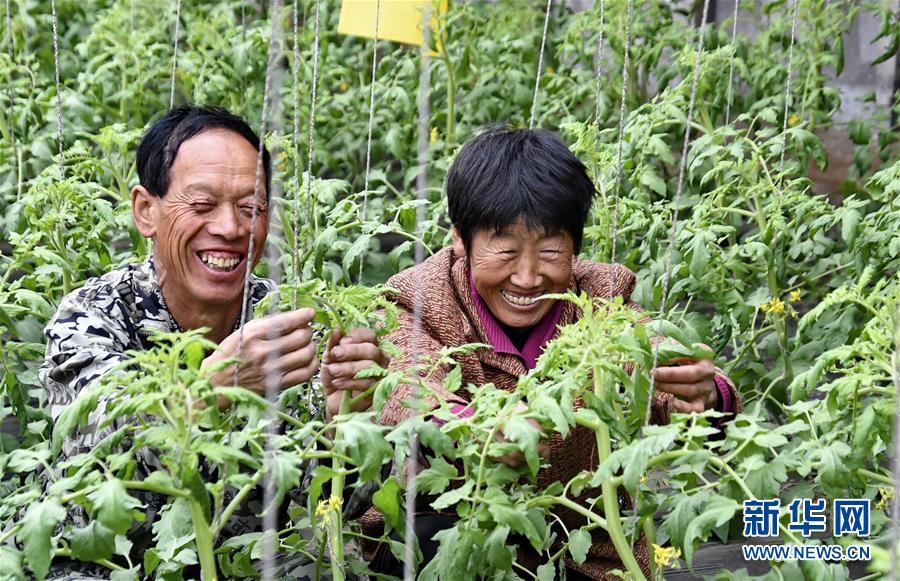 国家林业和草原局新一轮巡视工作启动_9929远程开发