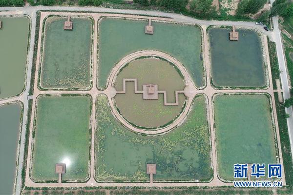 绑定域名需要加www.吗