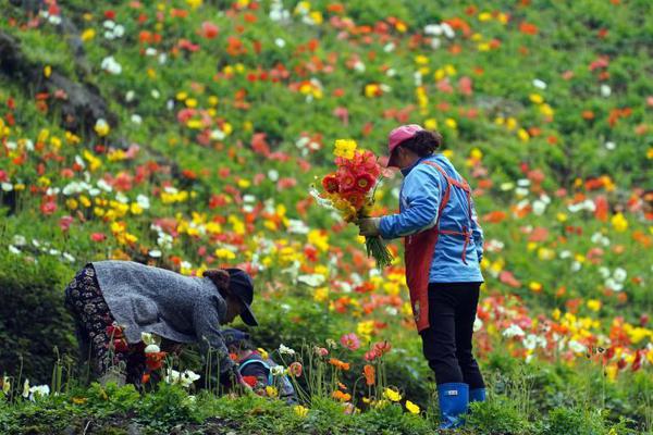 扎克伯格颠覆Facebook:隐私是头等事 扩张是正经事_美国CN2服务器性价比