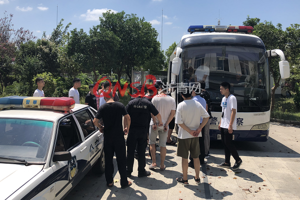 泪目!狗狗和主人患痴呆症后重逢认出彼此_云电脑随时随地访问