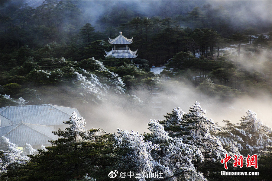 737 MAX迎角不一致警告转为选配却未告知客户