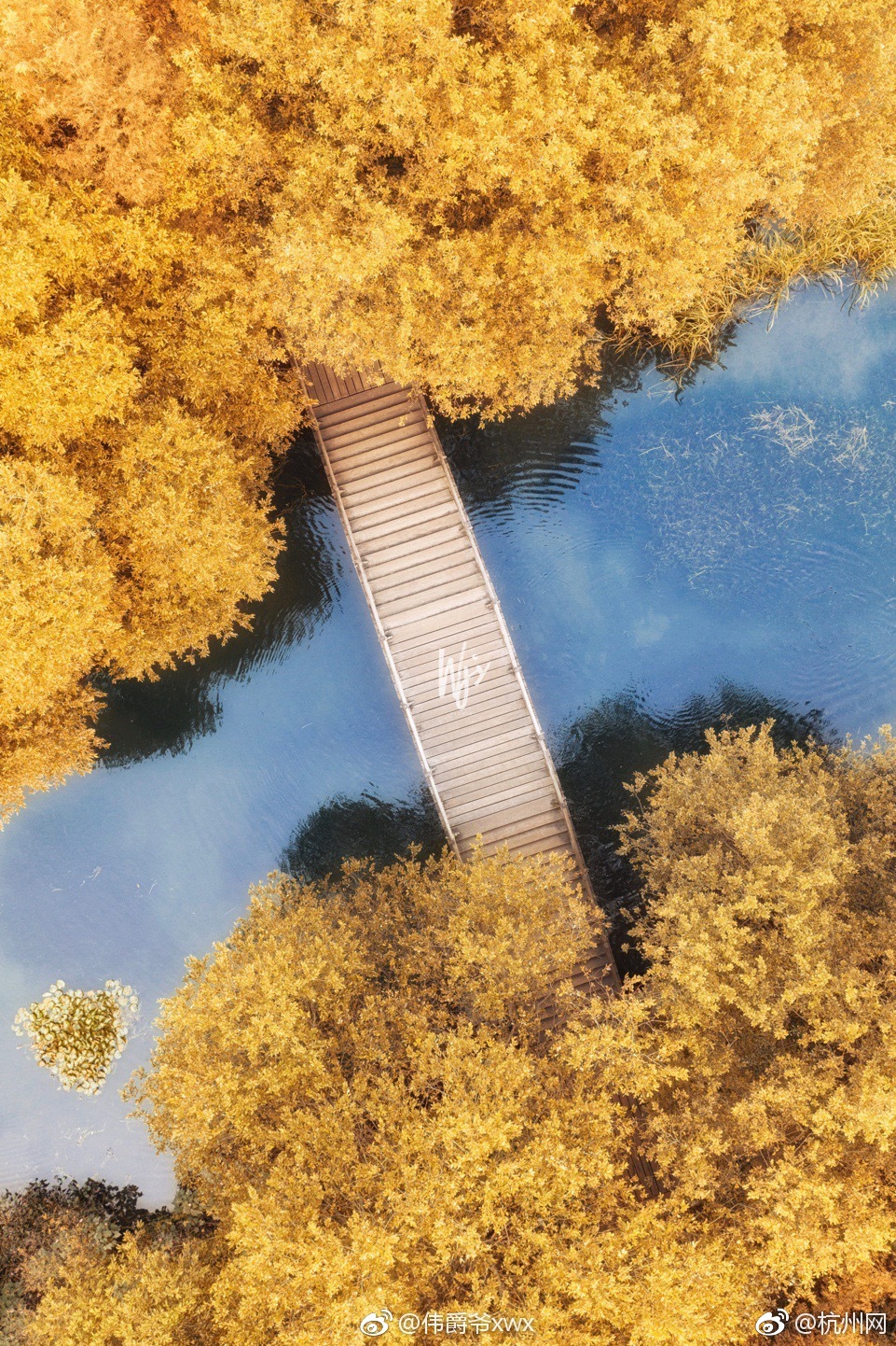 比伯约朋友压马路表情严肃_虚拟电脑