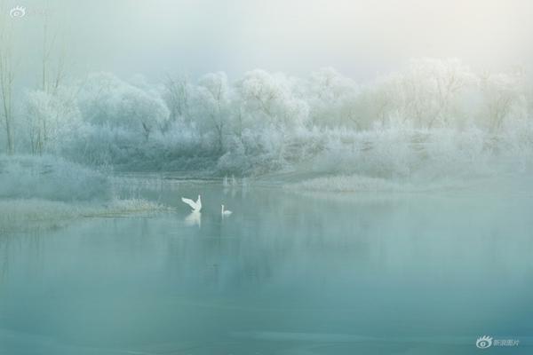GIF:假期请让我虚度时光_华东云服务器