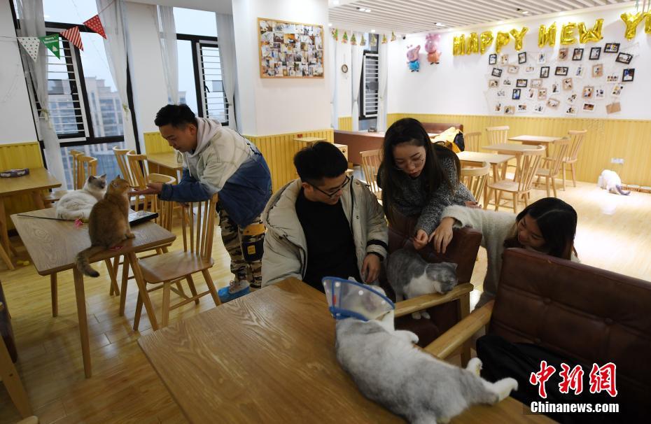 MOBI的域名什么意思