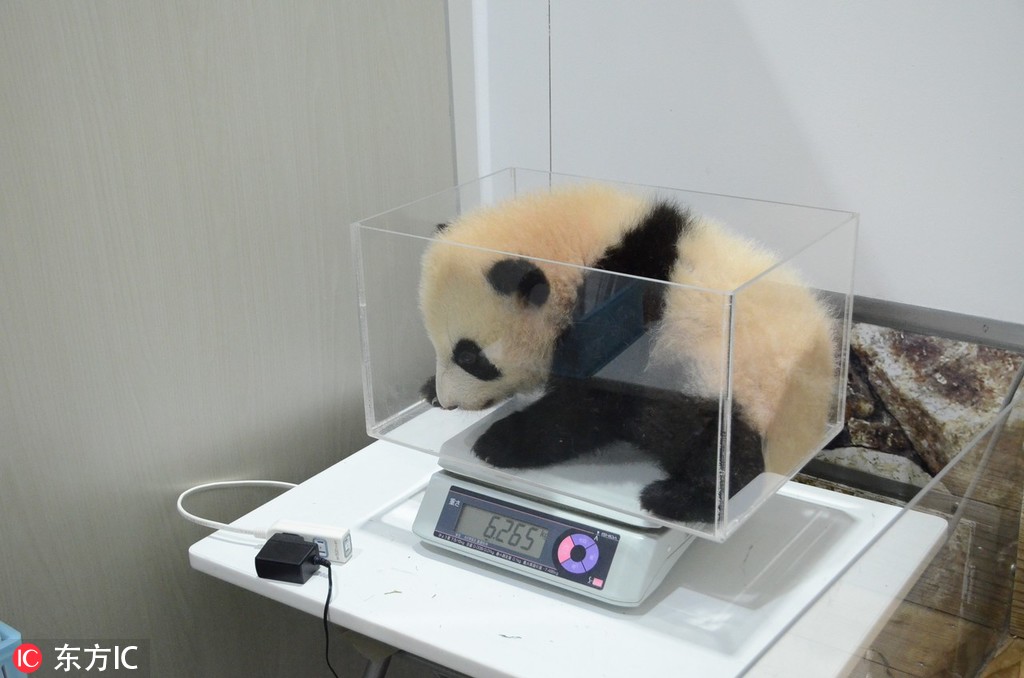 广西云服务器哪家好_9929跨境业务