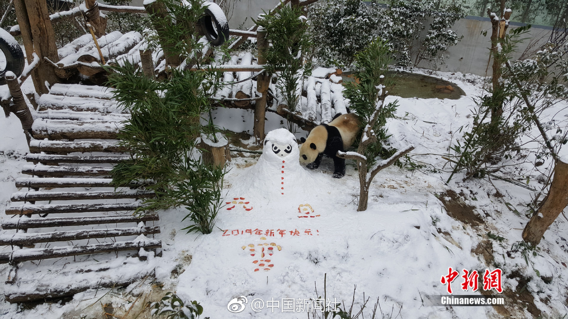 .ART域名好吗_US CN2 server