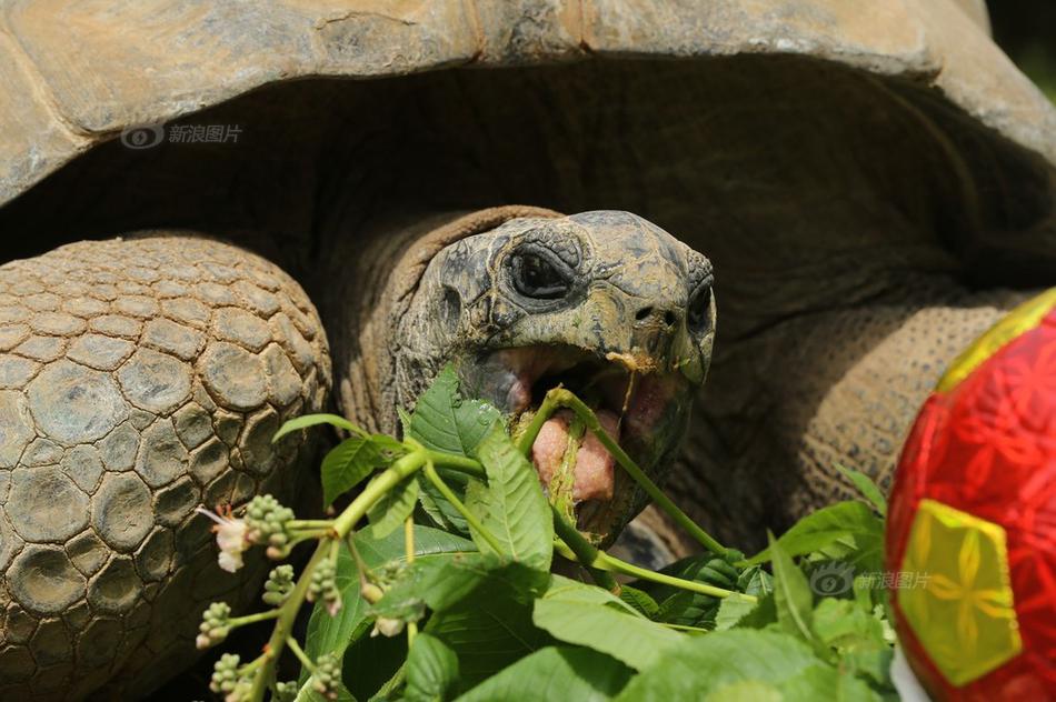 上了三年护理系结果是家政？官方通报来了
