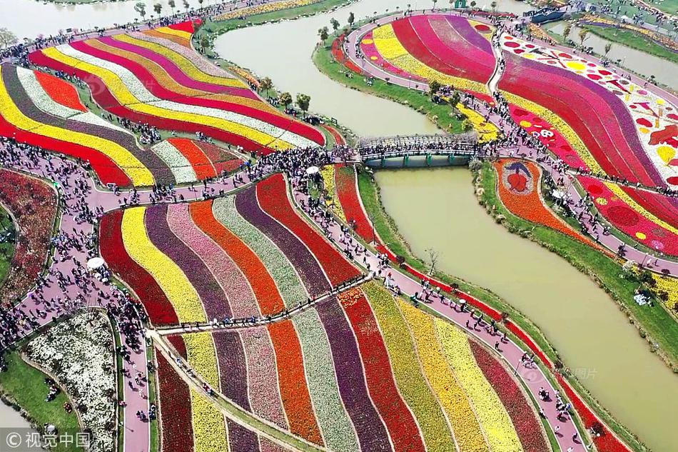 企业域名怎么申请购买