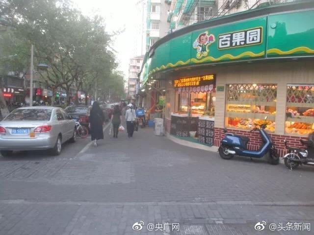 付辛博颖儿樱花树下甜蜜依偎