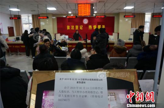 一份四月好喝奶茶报告