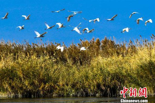 WORDPRESS主机空间怎么搭建网站