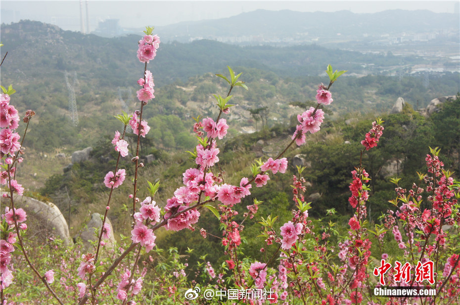 中国拒收后美国将大量垃圾运往这国 被送上一句话