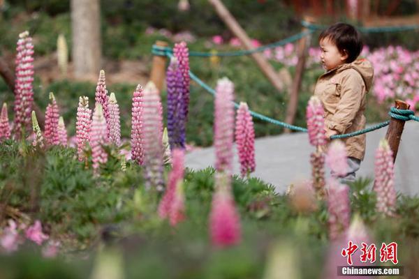 怎样在云服务器里扩容磁盘_挂机宝页游挂机