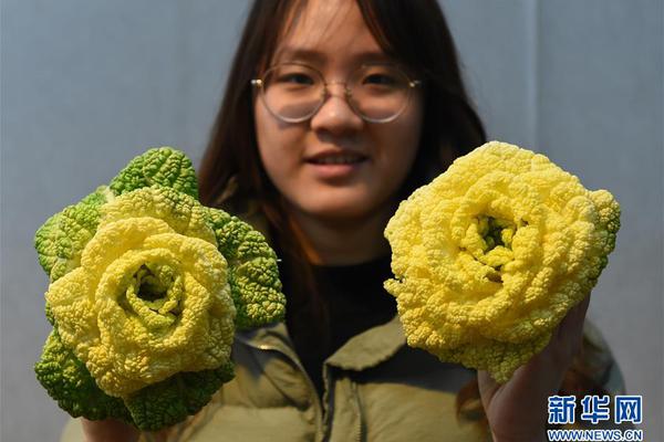 买的二手域名还用续费吗
