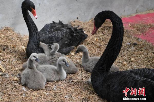 德帅:不会受第一场比赛影响 福斯特是最佳裁判之一_微软Azure中国