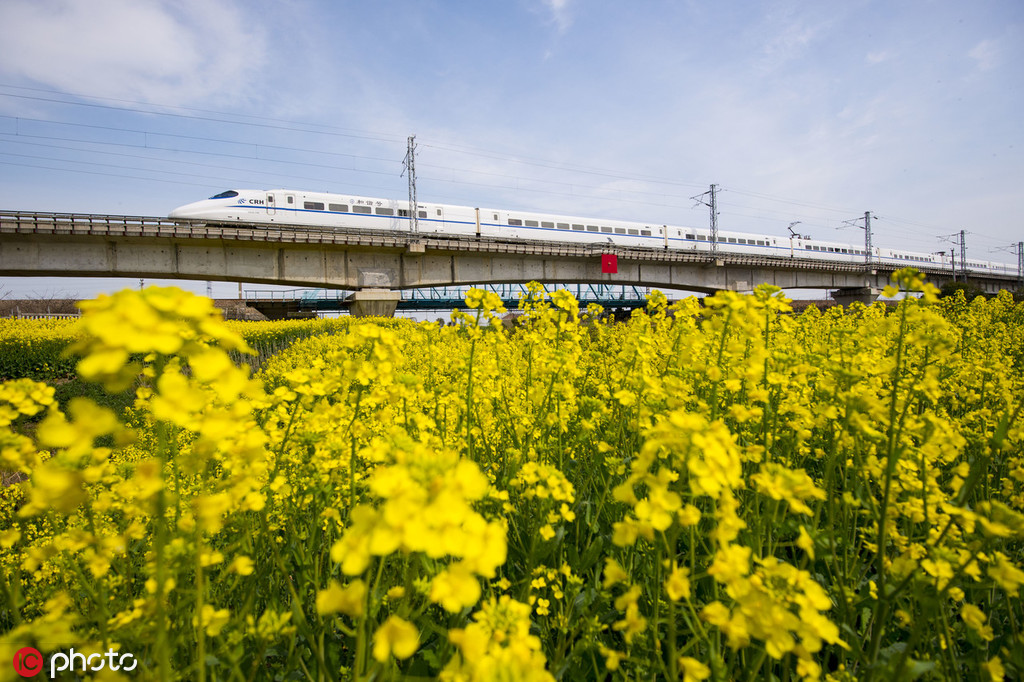 苹果“逼死”第三方应用:掌控力越高,公平越难实现_9929住宅IP