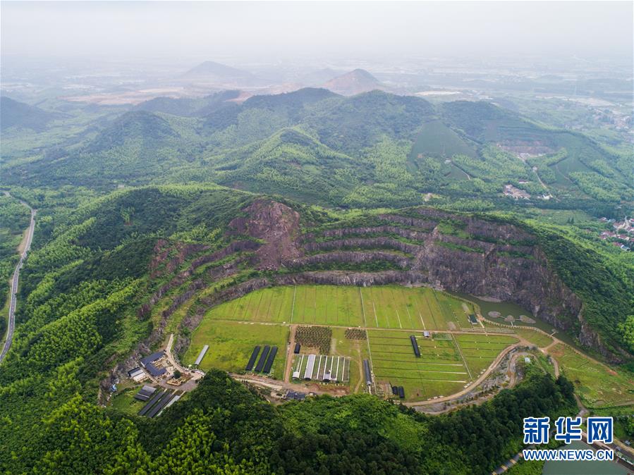 一个网站可以绑定多少个域名_联通云服务器