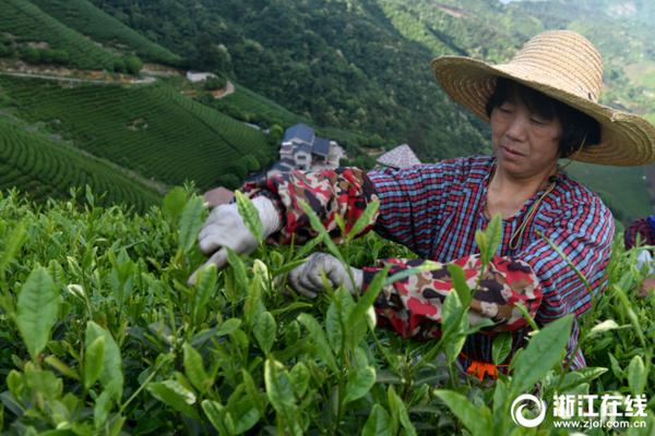 ECS云服务器_CN2服务器线路测试