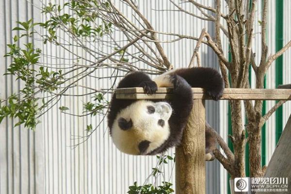 租赁云服务器多少钱一个月_华为云桌面
