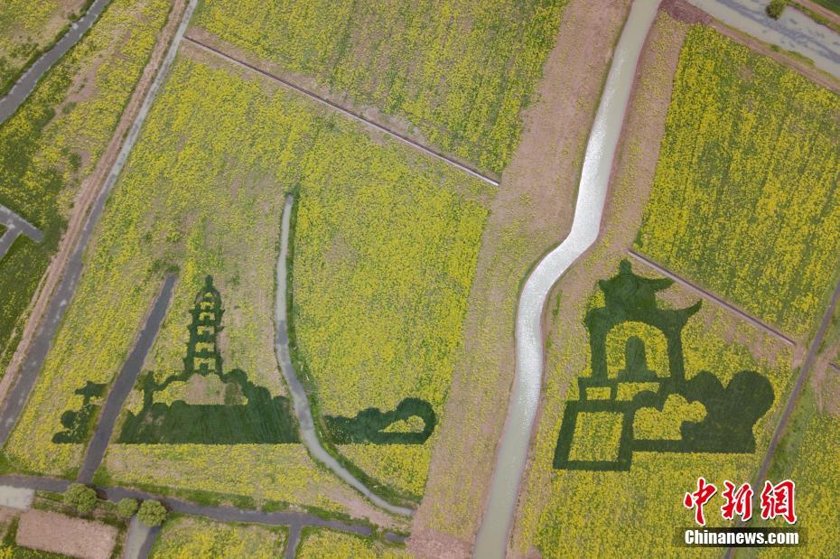 年轻“粮食人”叶金的大梦想_正规的虚拟主机和云服务器提供商