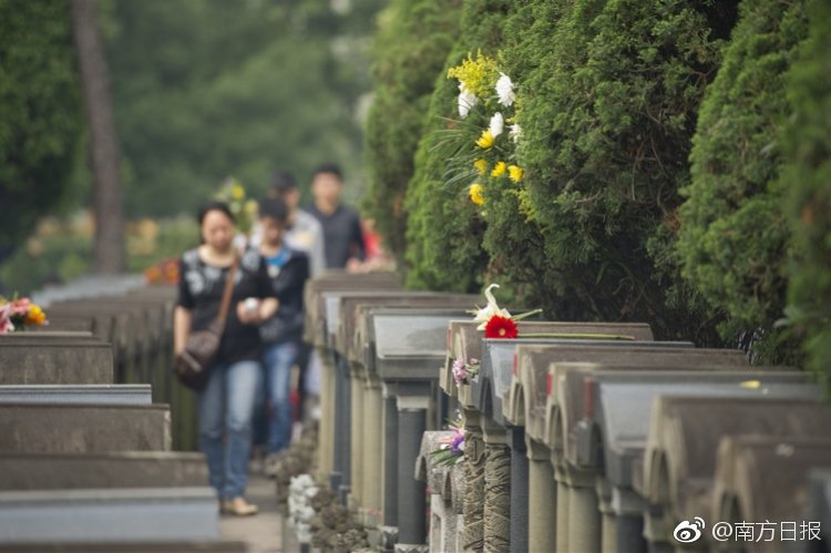 鳄鱼掉落高速后睡着 男子执意带回家_云电脑部署成本