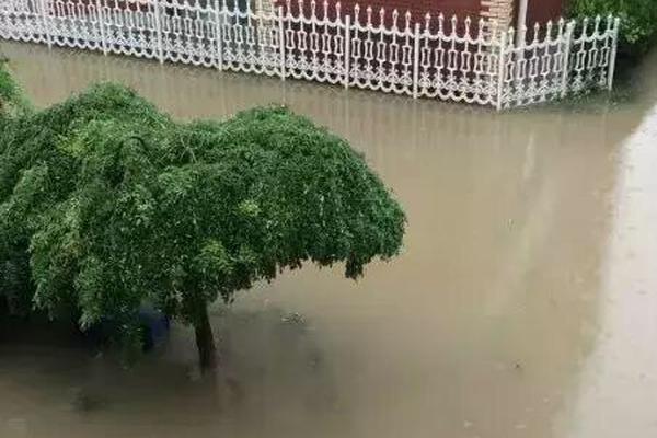 绑定域名需要加www.吗
