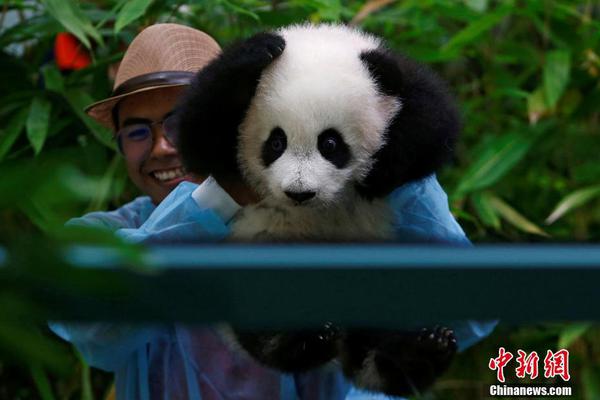 SSL加密是什么意思