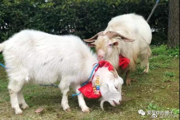 现实版逆袭:废柴青年变身救人英雄_云主机