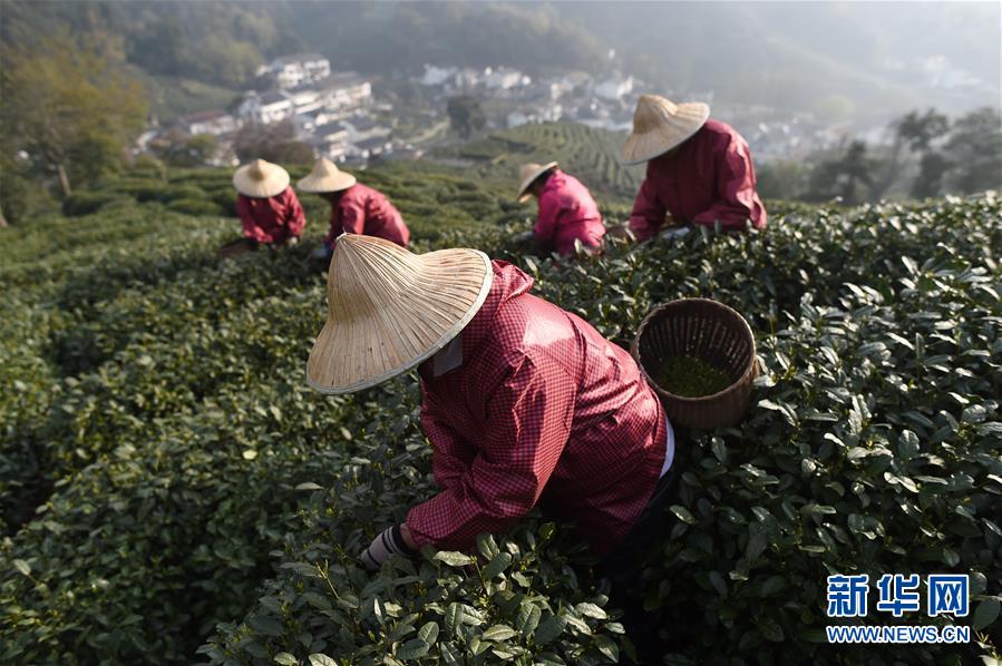 [专访]康劲：照片年卖百万_云建站/云站群/小程序