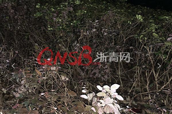 印尼七任总统都想迁都,雅加达到底怎么了?