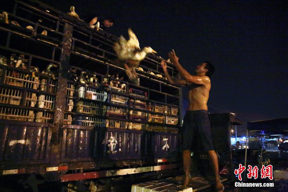 冷兵器时代的各国骑兵鉴赏_挂机宝管理系统