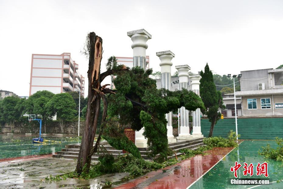 SSL证书注册_云服务器购买