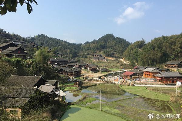 服务器上绑定多少域名最好_9929弹性云主机