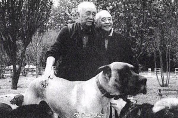 为这事 吴京黄渤等人坐上公安部新闻发布会主席台_云电脑多少钱一个月
