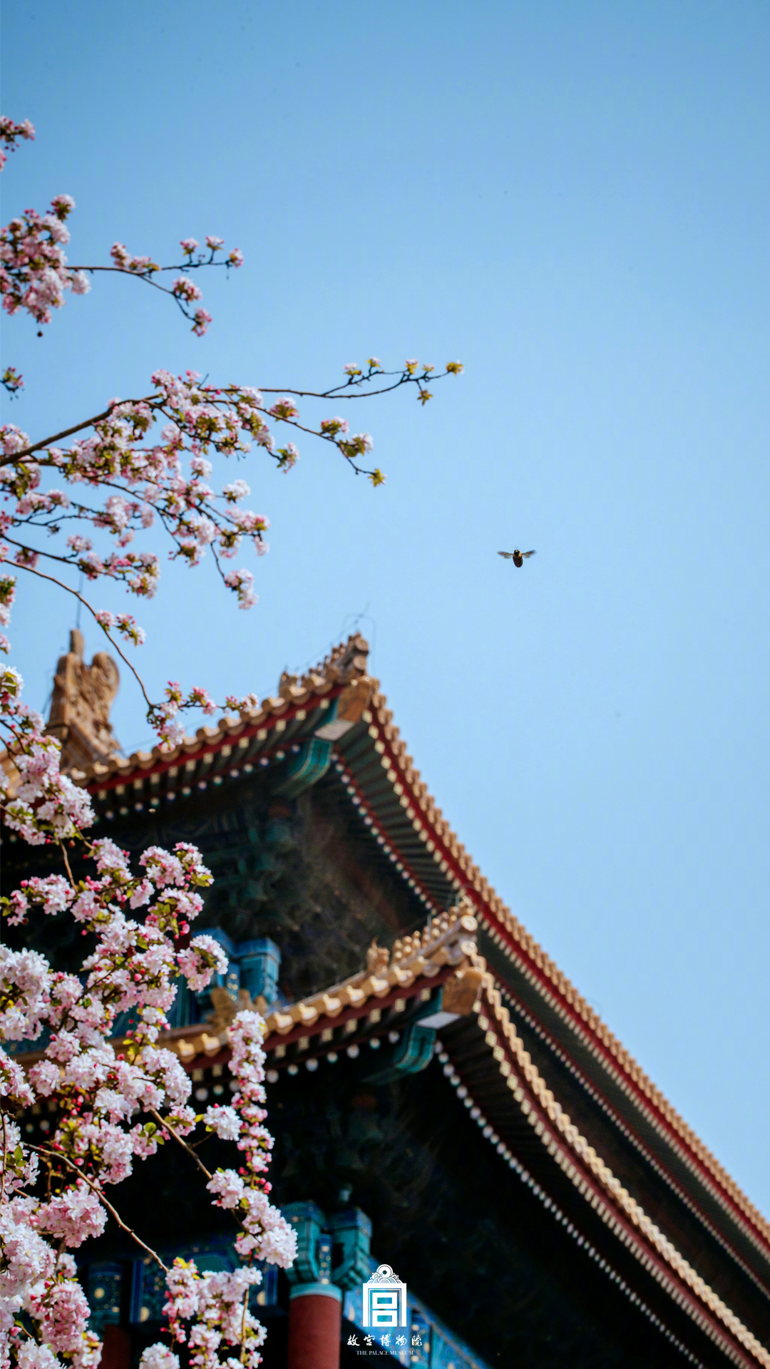吴奇隆官宣:刘诗诗升级当妈,母子平安!