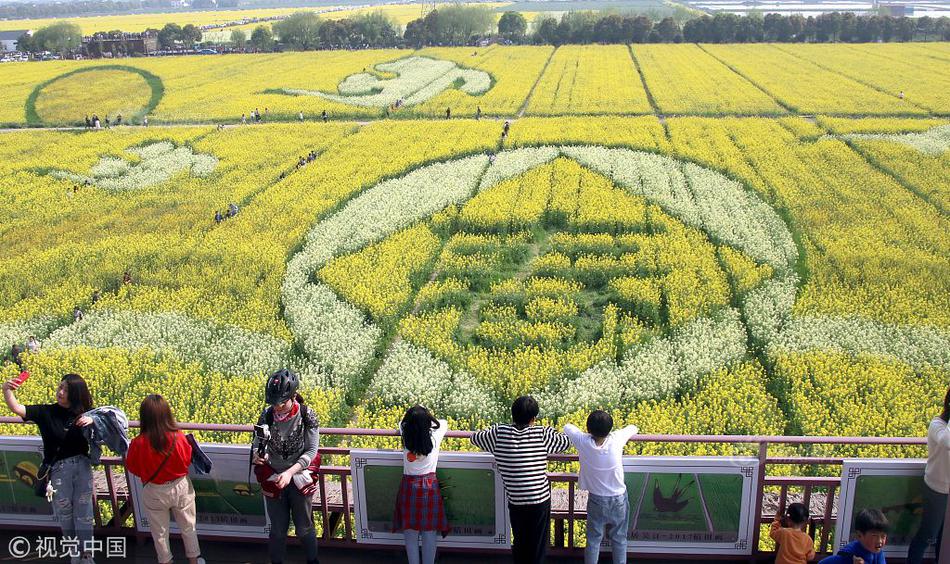 SSL加密是什么意思_CN2服务器mtr