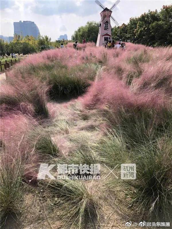 库里休闲装扮走入球馆 神情轻松自信满满_云服务器竞价实例