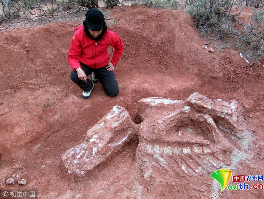 云服务器选择那家公司好_CN2服务器带宽