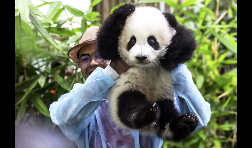 FTP怎么打开