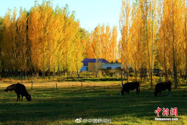 丹东二手房限售 后续政策或微调收紧