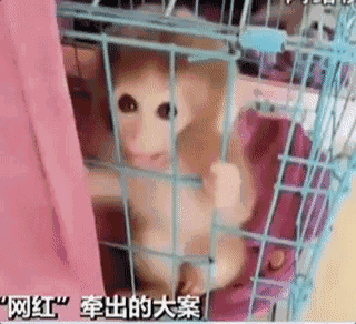 北京西城区2019幼升小小升初政策出炉!8大变化独家解读_挂机宝旺旺挂机