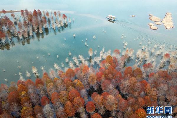 体彩2056万得主露脸兑奖 闹市区公开“讲解”-图_AS9929线路解析