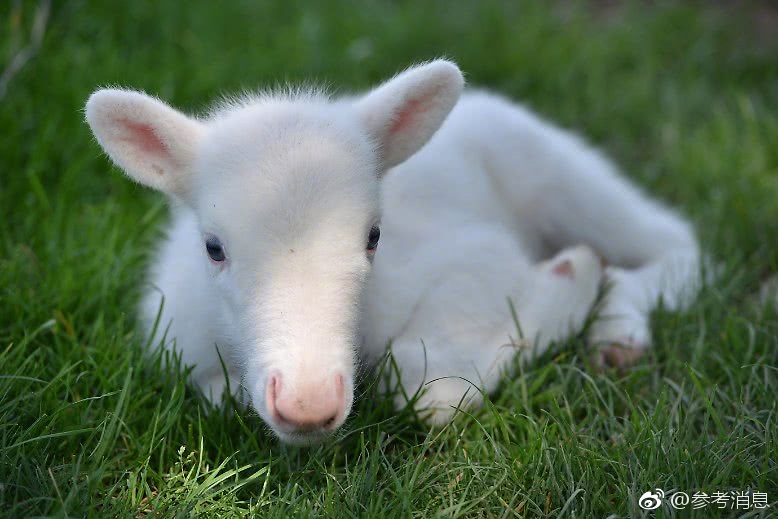 滴滴付强：成立司机服务部 将设两千名司机服务经理