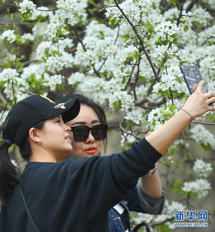 此生无悔入漫威,辉煌过后终落幕 !_云服务器50M带宽
