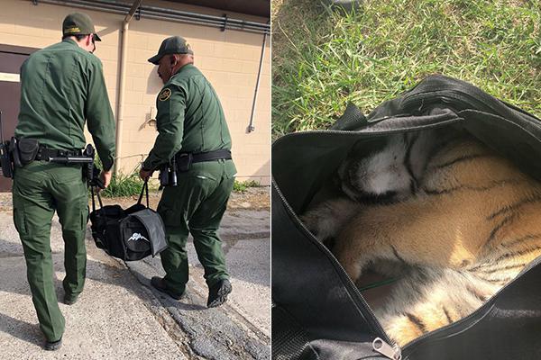 我使馆确认共有6名中国公民在斯里兰卡爆炸袭击中遇难_CN2服务器E5处理器