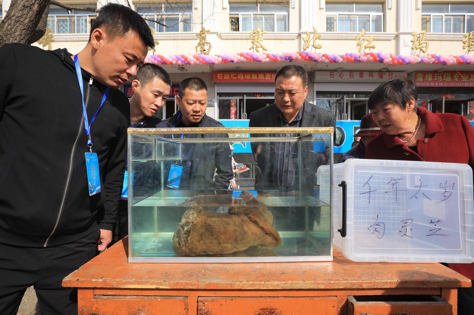 中国消费者汽车驾乘指数第一批车型测评