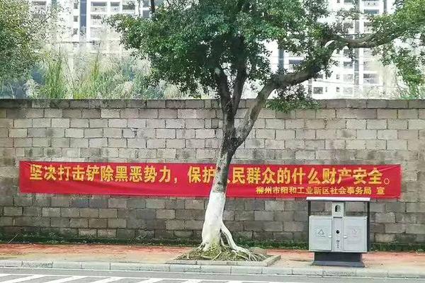 .XYZ域名